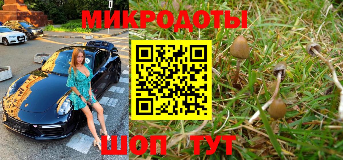 Псилоцибиновые грибы MAGIC MUSHROOMS  Вход с VPN  Крымск 