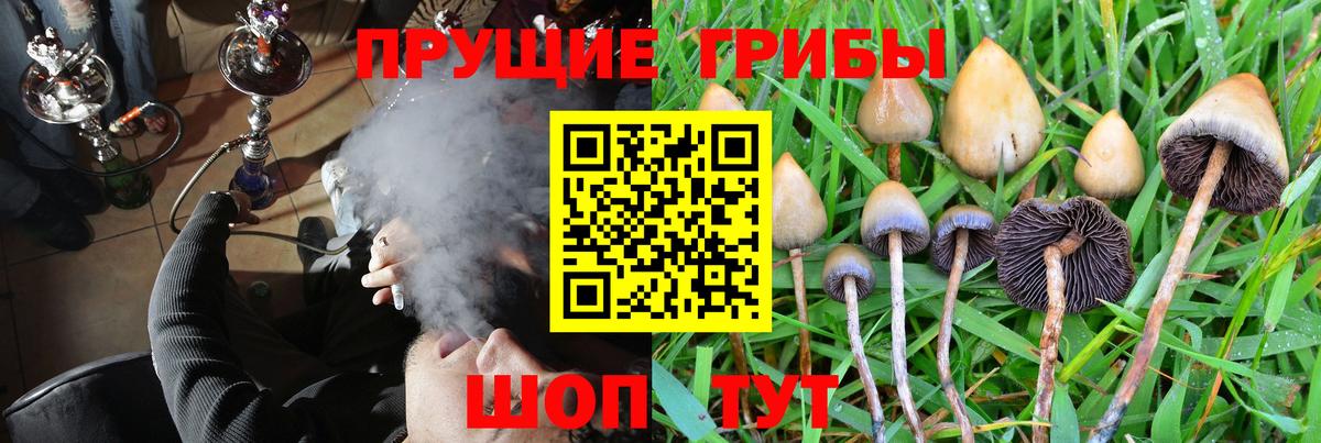 Псилоцибиновые грибы GOLDEN TEACHER Крымск